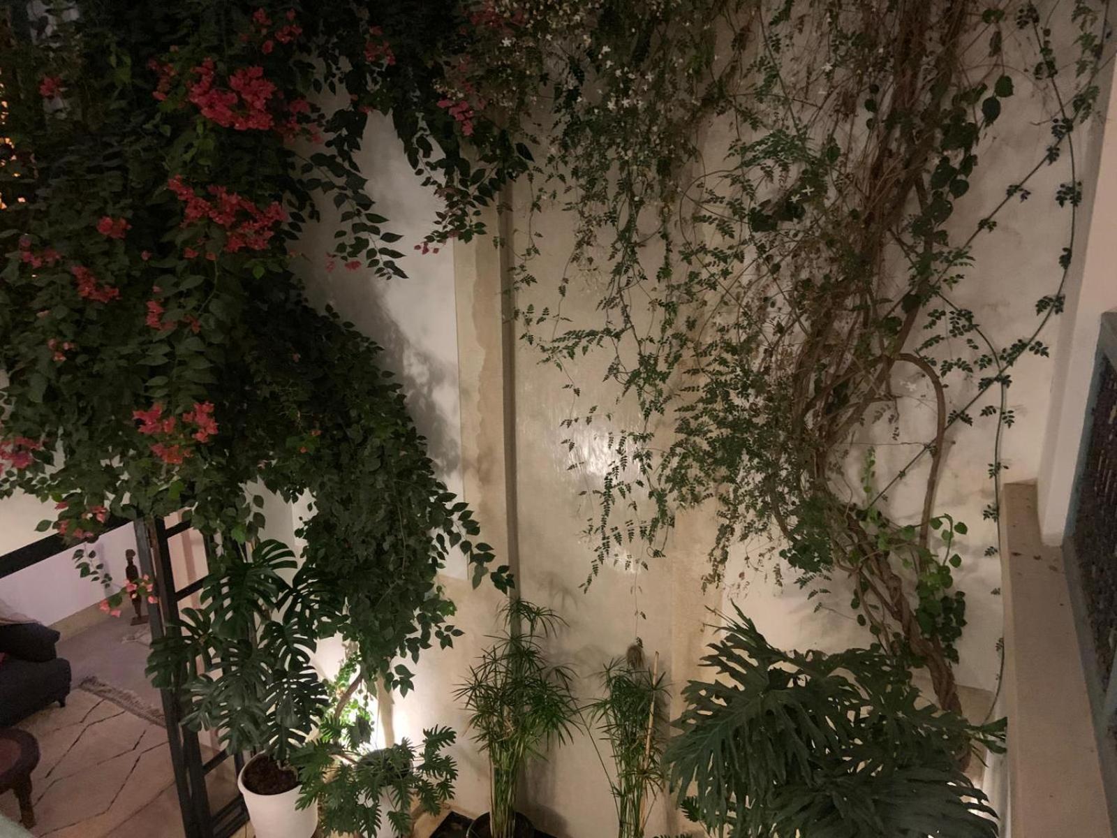 Le Petit Pacha Hotel Marrakesh Eksteriør billede